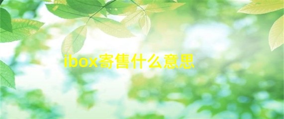 iBox 寄售服務(wù)解析 什么是受托寄賣？